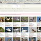 My bird list